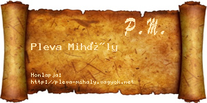 Pleva Mihály névjegykártya
